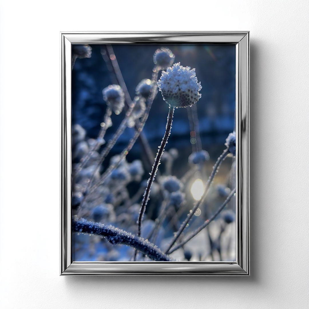 ❄️ Frostige Wintermagie | Fine Art Fotografie als Print on Demand